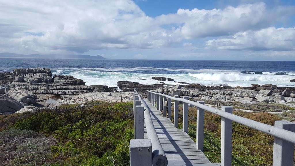 Whale View Self Catering Apartment Hermanus Esterno foto